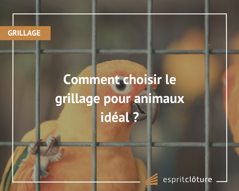 Esprit cloture
