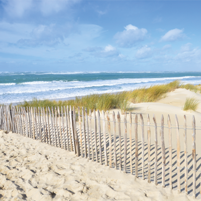 Clôture ganivelle bois sur une plage de sable