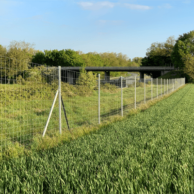 Grillage à Poule pour poulailler cloture agricole - Côté Clôture