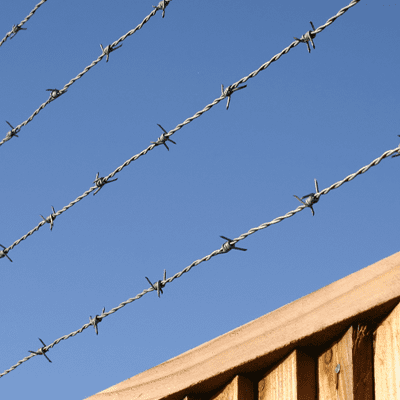 vue rapprochée du fil de fer barbelé sur une clôture en béton