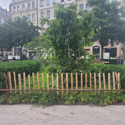 Clôture ganivelle bois devant bosquet