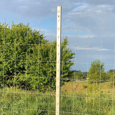 poteau grillage soudé lourd à linguets