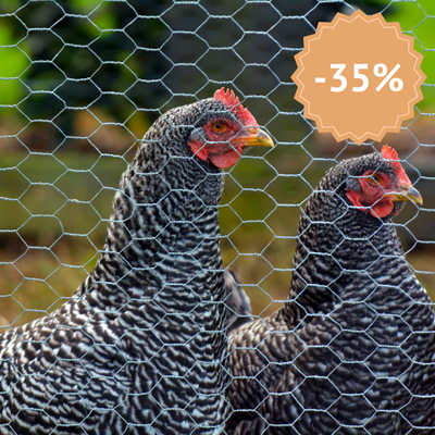 Grillage à poule à mailles torsadées pour enclos