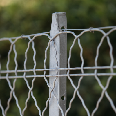 Poteau en T galvanisé et grillage ondulé