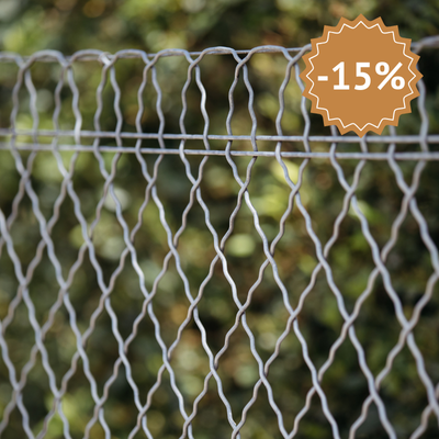 grillage à bordure parisienne