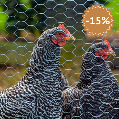 Grillage à poule à mailles torsadées pour enclos