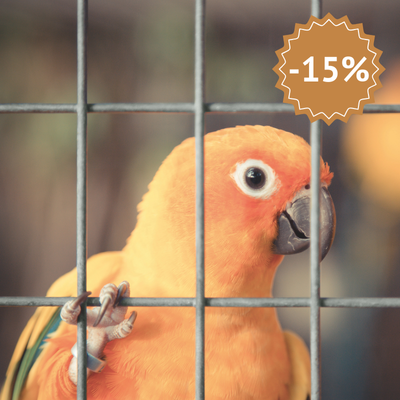 Grillage volière à mailles rectangulaires galvanisées formant un enclos à oiseaux