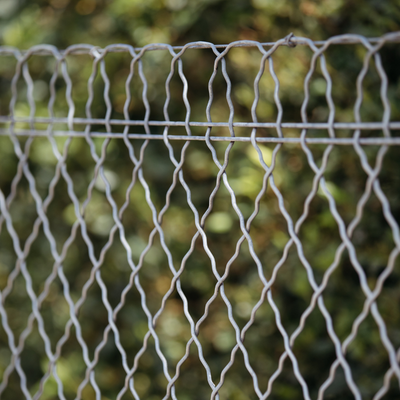 grillage à bordure parisienne