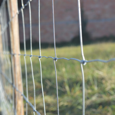 Grillage à mouton à mailles rectangulaires dans un champ